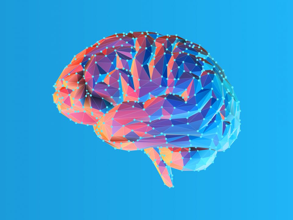 Colorful blue and pink low poly side view human brain illustration with connection dots isolated on bright blue background